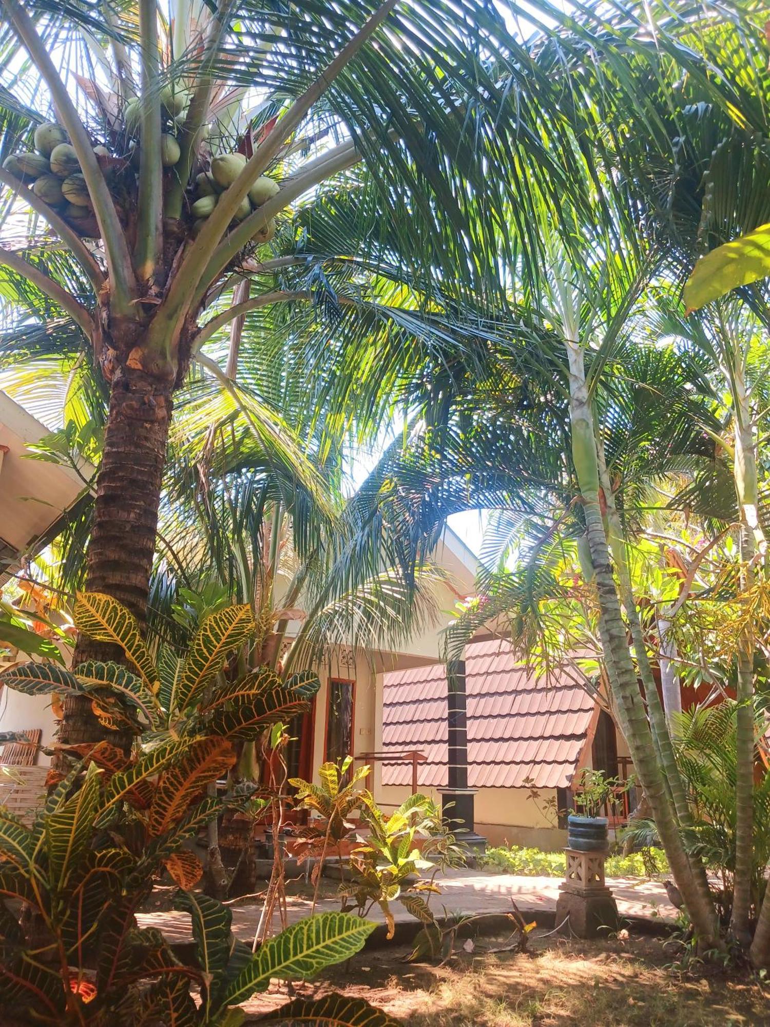 Florine'S Garden Hotel Gili Air Luaran gambar